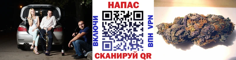 Конопля гибрид  цена наркотик  Северо-Курильск 